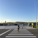 GS25 울산 방기점 | [몽골 중부여행] 울산에서 김해공항 가는 법, 미아트 항공 탑승 후기, 미아트 수화물 규정, 몽골...