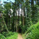 치악산둘레길 10코스 아흔아홉골길 이미지