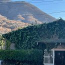 유연목장 이미지