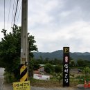 안씨고집 이미지