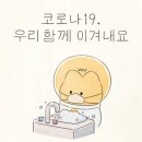 삼성태권도 이미지