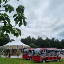 제주 와일드 이미지