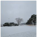 신창기업(주)발리오스컨트리클럽 이미지