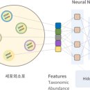 엠디개발 이미지