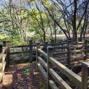 자락길 민박 이미지