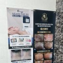 고고펫살롱 이미지