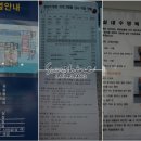 광양수영장 이미지