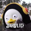 광주 백일사진 돌 사진 스튜디오 추천 베베아르 내돈내산후기