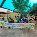 문장초교 이미지