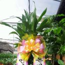 한성유도체육관 이미지