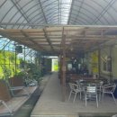 영광포도원 이미지