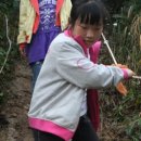 하정초등학교 이미지