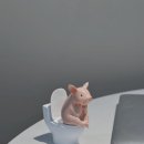 돼지모양 화장실 이미지