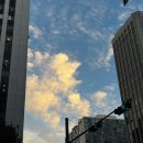 특허떡볶이 화곡싸롱 이미지