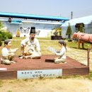 새한센시빌 이미지