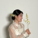 복나비소성희한복 네이버블로그