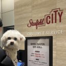 머피애견 | 부산 애견동반 가능 쇼핑몰 펫파크가 있는 스타필드시티 명지 펫유모차도 대여가능