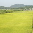 홍성한우타운 이미지