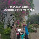 비비큐우정점 | 5060세대가 좋아하는 방콕파타야 우정여행 포인트 5가지