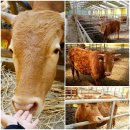 해순농장 이미지