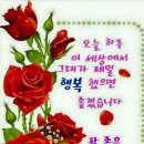 3739 이미지
