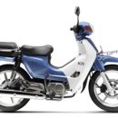 최신모터스 이미지