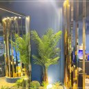 주안24시 이미지