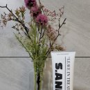 에스앤드 이미지