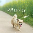 태린