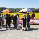 남지정기시장 이미지