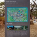창녕읍 술정리 259번지 ～ 술정리 300-3 | 제2의 경주라 불리는 창녕 진흥왕 행차길
