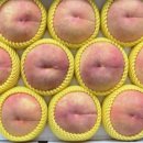 이례농장 이미지