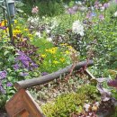 미락농장 이미지