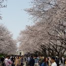 일정표 만들기 이미지