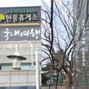 현풍주유소(마산방향) | 중부내륙고속도로 현풍휴게소 마산방향 이용정보 느티나무 멋져