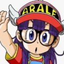 스탠다드옵티크 이미지