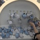 쿨 트레이딩 | [성수] 《나가노마켓 in 성수》 농담곰 팝업 후기 : 한국인들은 수량이 부족하면 곰 가지기를 포기합니까?