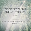 소망닷컴