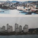 에스케이농장 이미지