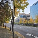 체리빌사우나 이미지