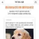 온도℃ 이미지