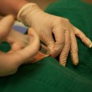 콕마취통증의학과의원 이미지