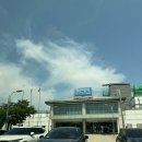 청주카페｜지금 가면 딱 예뻐요! 데이지 활짝 핀 분위기 좋은 카페 청주토성마을