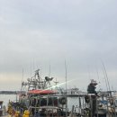 고하대로 | 전남 목포 갈치낚시 신세계갈치낚시 _ 목포신세계피싱 / 야간갈치낚시 후기