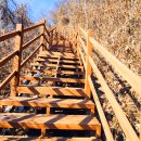 문산태양광발전소 이미지