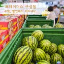 홀-세일마트 | 트레이더스 구성점 7월 네째 주말 할인, 중복 맞이 세일