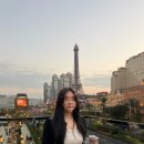 가을 | 쉬인 추천템 봄옷 가을옷 내돈내산 후기 (할인코드)