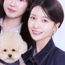 차영메이크업 네이버블로그