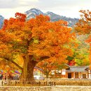 힐링산행과 문화탐방 이미지