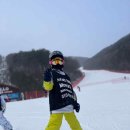 하이원유아강습이 가능한 맘스스키에서 단계별 강습 프로그램을 들었어요